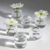 Mini Vasen 6er Set aus Glas kleine Glasvasen H3,5cm